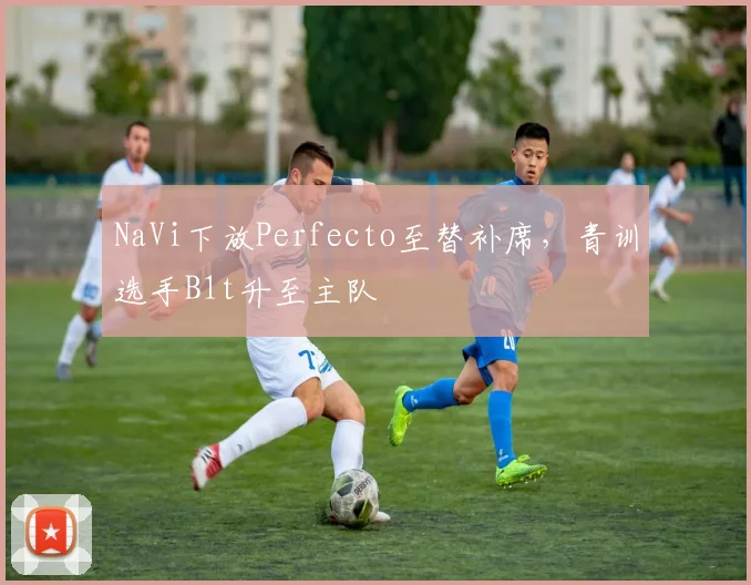 NaVi下放Perfecto至替补席，青训选手B1t升至主队